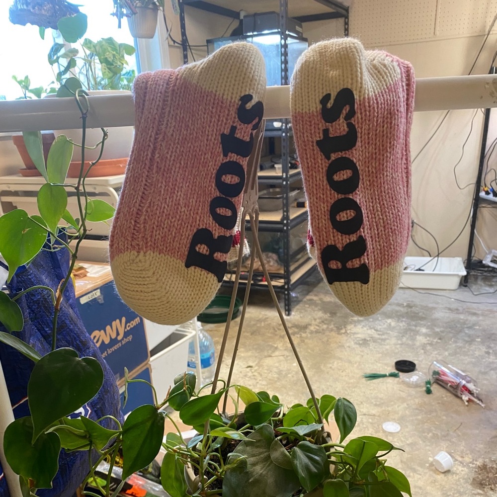 NWOT Roots Pink Cabin Socks